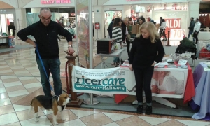 rIcerCARE