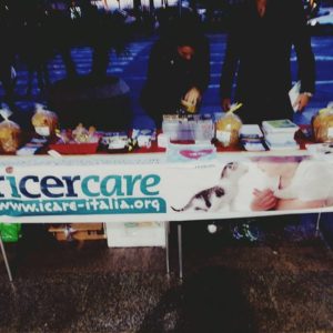 rIcerCARE