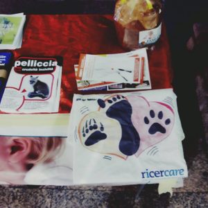 rIcerCARE