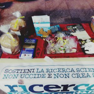 rIcerCARE