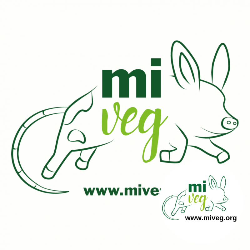 MIVEG 19-20 OTTOBRE 2019