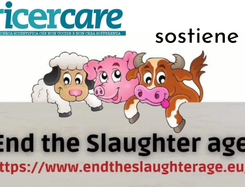 I CARE EUROPE odv sostiene End The Slaughter Age