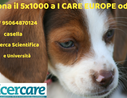 FINE DEGLI ESPERIMENTI SU CANI, GATTI E CAVALLI NELLA RICERCA DI BASE