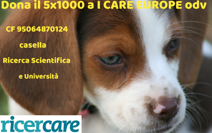 Cani gatti cavalli nella ricerca di base