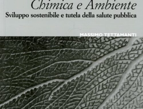 Libro CHIMICA E AMBIENTE Sviluppo sostenibile e tutela della salute pubblica